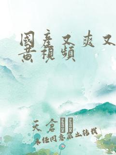 国产又爽又粗又黄视频