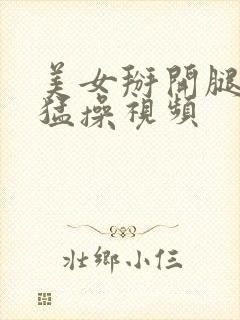 美女掰开腿被人猛操视频