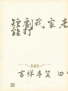 短剧我家老婆超能打