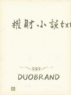 权财小说txt