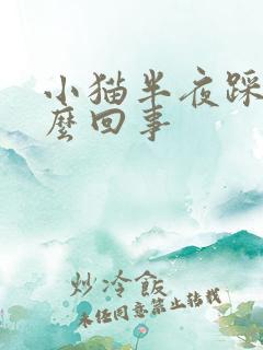 小猫半夜踩奶怎么回事