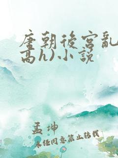 唐朝后宫乱淫(高h)小说