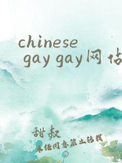chinese gay gay网站