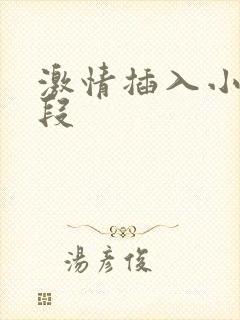 激情插入小说片段