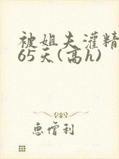 被姐夫灌精的365天(高h)