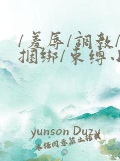 /羞辱/调教/捆绑/束缚小说