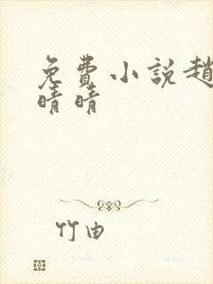 免费小说赵旭李晴晴