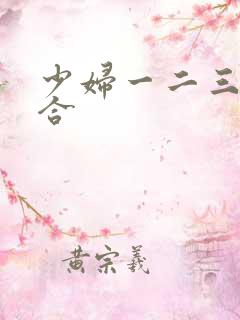 少妇一二三区综合