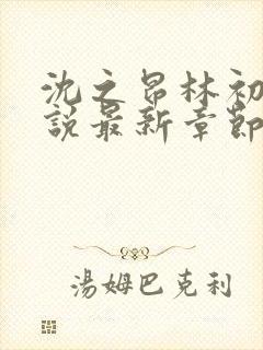 沈之昂林初窈小说最新章节免费阅读