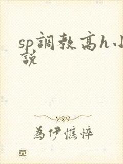 sp调教高h小说