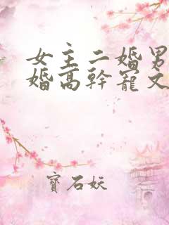 女主二婚男主头婚高干宠文小说