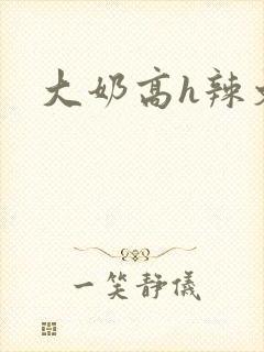 大奶高h辣文