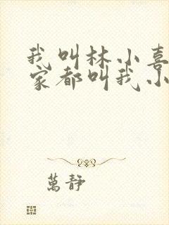 我叫林小喜 大家都叫我小喜小说