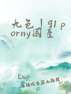 九色丨91 porny国产