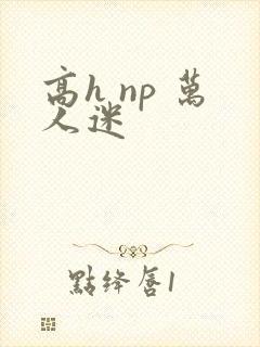 高h np 万人迷