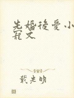 先婚后爱小说甜宠文