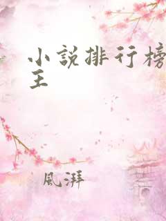 小说排行榜双男主