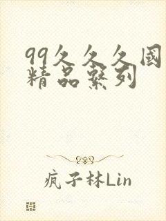 99久久久国产精品系列