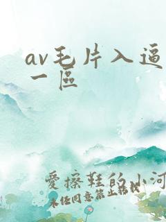av毛片入逼片一区