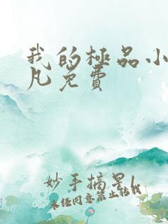 我的极品小姨叶凡免费