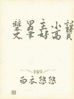 双男主小说推荐文笔好高质量