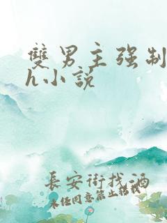 双男主强制爱高h小说