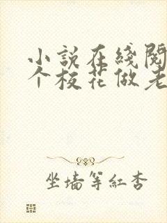 小说在线阅读捡个校花做老婆