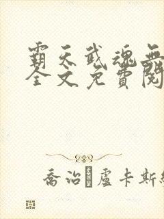 霸天武魂无弹窗全文免费阅读