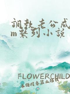 调教老公成绿奴m系列小说