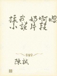 揉我奶啊嗯高潮小说片段