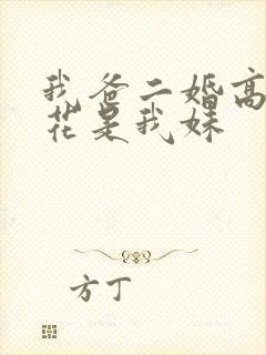 我爸二婚高冷校花是我妹