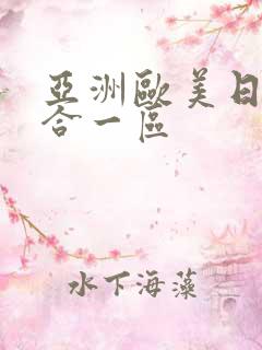 亚洲欧美日韩综合一区