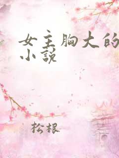 女主胸大的言情小说