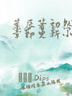 叶辰萧初然最新章节更新小说