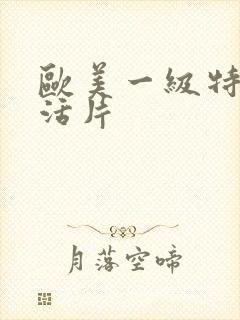 欧美一级特黄生活片