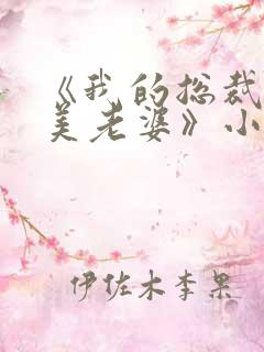 《我的总裁白富美老婆》小说