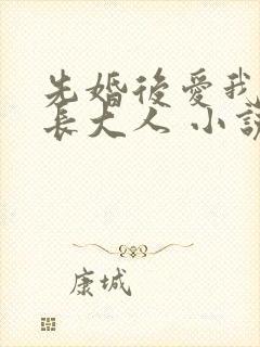 先婚后爱我的市长大人 小说