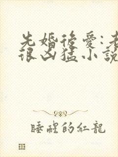 先婚后爱:老公很凶猛小说电子版txt