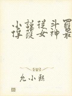 小说从斗罗开始俘获女神最新章节