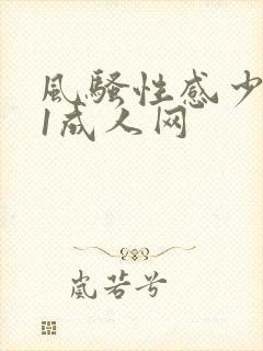 风骚性感少妇91成人网