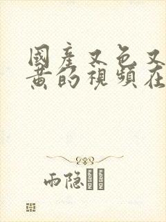 国产又色又爽又黄的视频在线观看