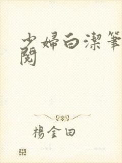 少妇白洁笔趣阁阅