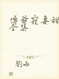 傅爷宠妻甜入骨全集