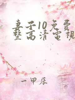 妻子10免费完整高清电视剧在线看