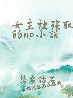 女主被强取豪夺的np小说