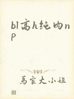 bl高h纯肉np