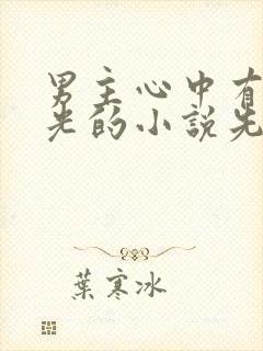 男主心中有白月光的小说先婚后爱