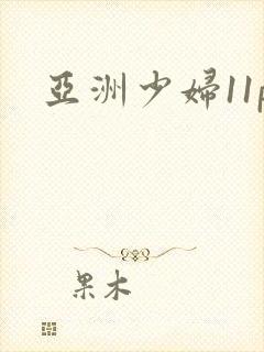 亚洲少妇11p