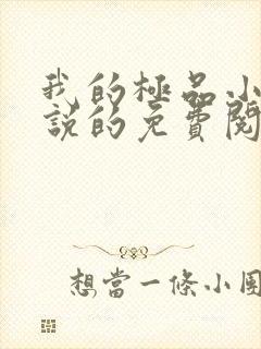 我的极品小姨小说的免费阅读