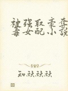 被强取豪夺的恶毒女配小说
